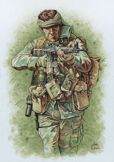 SAS in Vietnam